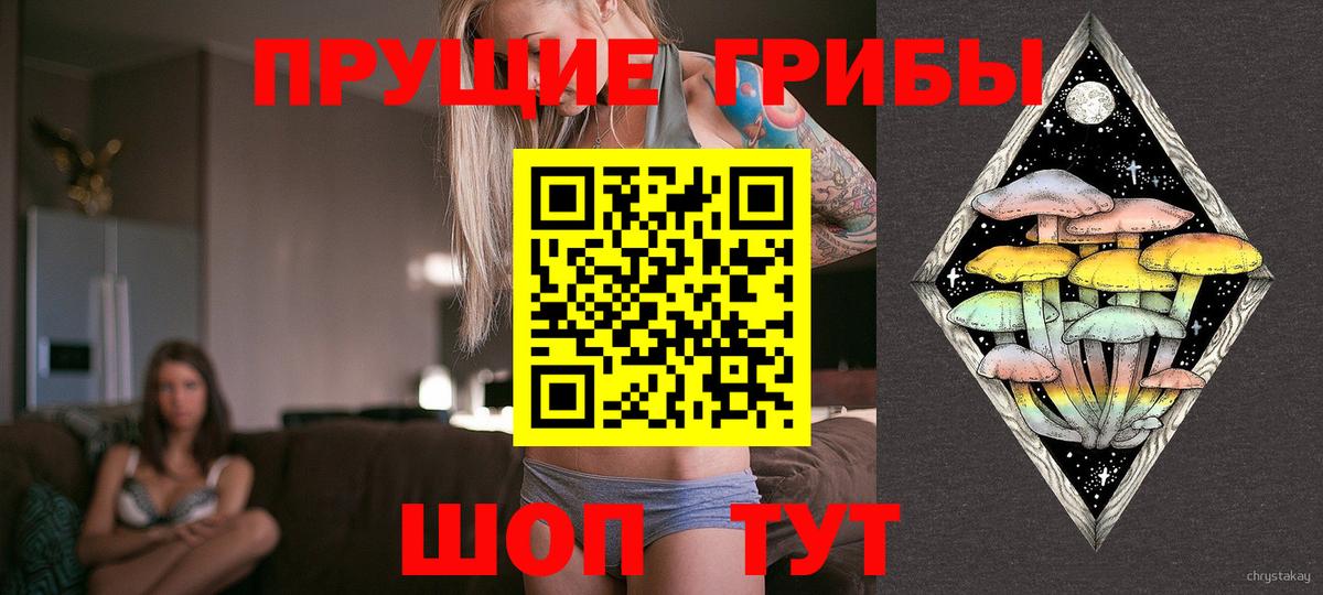 Галлюциногенные грибы Psilocybe  Вход с VPN  Кудымкар 