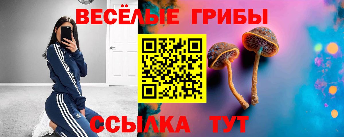 Псилоцибиновые грибы мухоморы Кудымкар